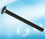 Carriage bolt